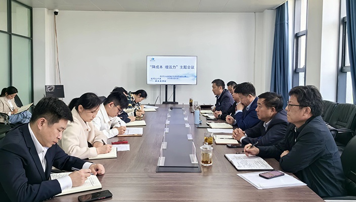 大運(yùn)河保護(hù)傳承利用公司召開“降本增效 增添活力”主題會議
